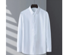 男款商务时尚免烫衬衫长短袖成衣